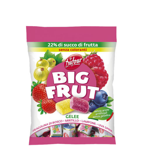 Big Frut Frutti di Bosco 150g